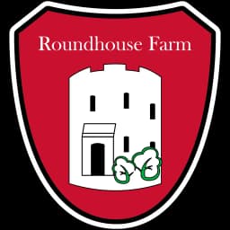 Website logo